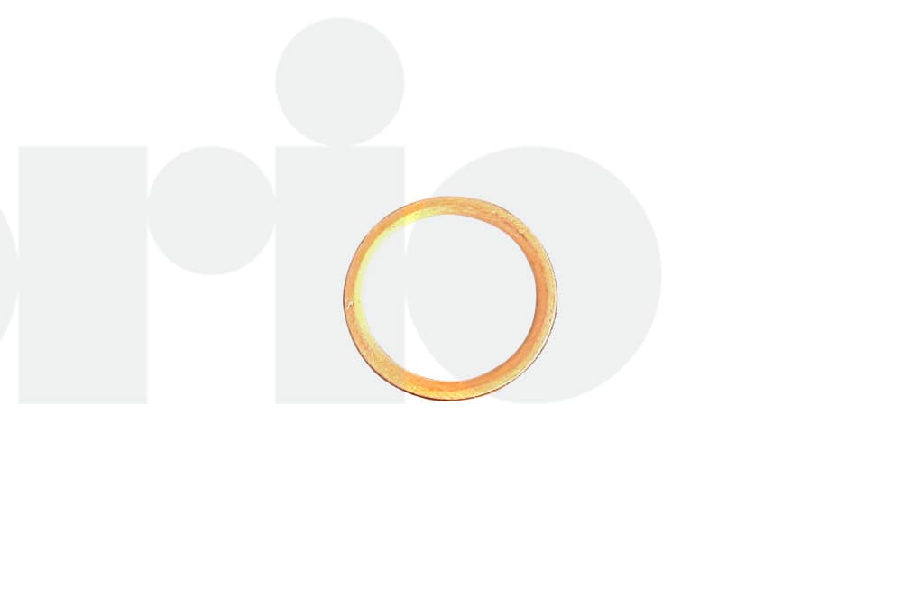 Seal ring-1