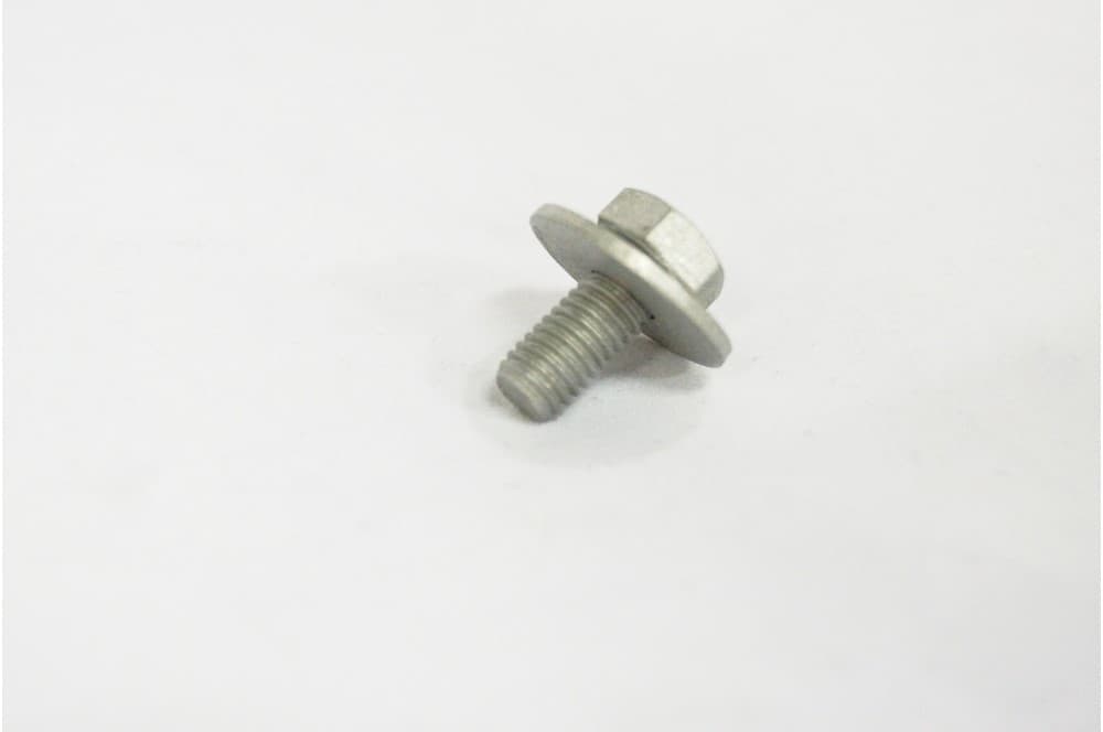 Screw-1
