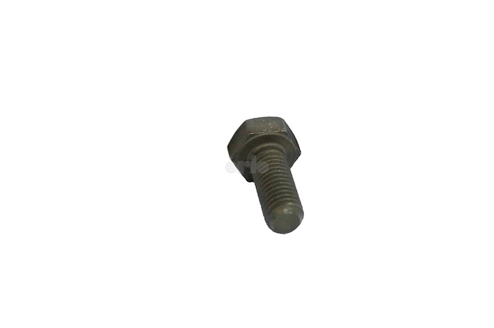 Screw-1