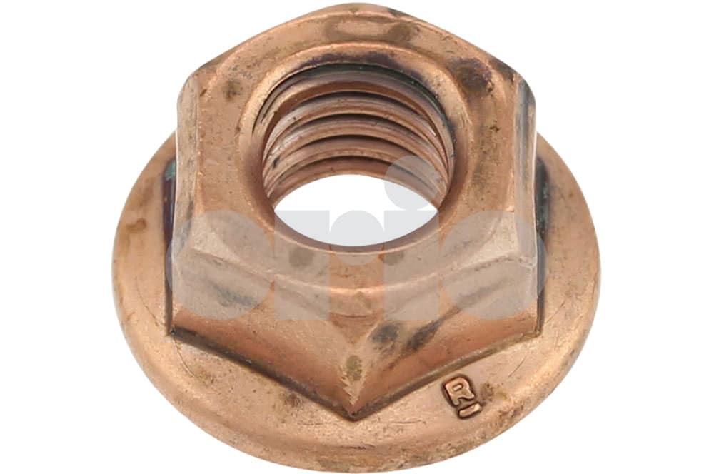 Nut-1