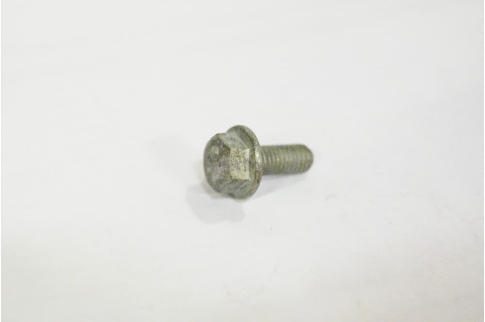 Screw-1