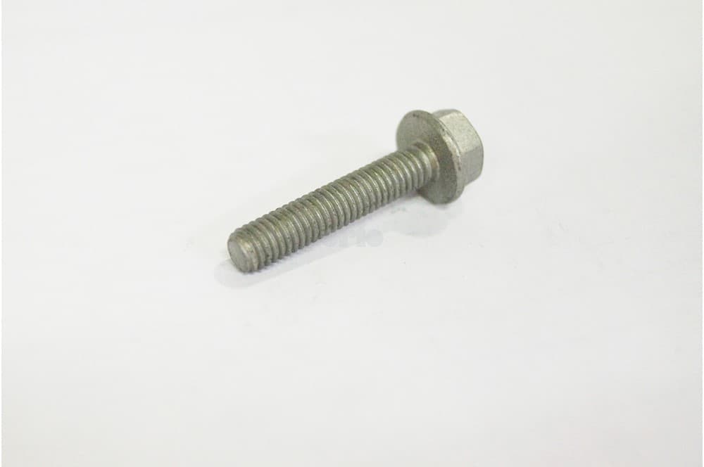 Screw-1