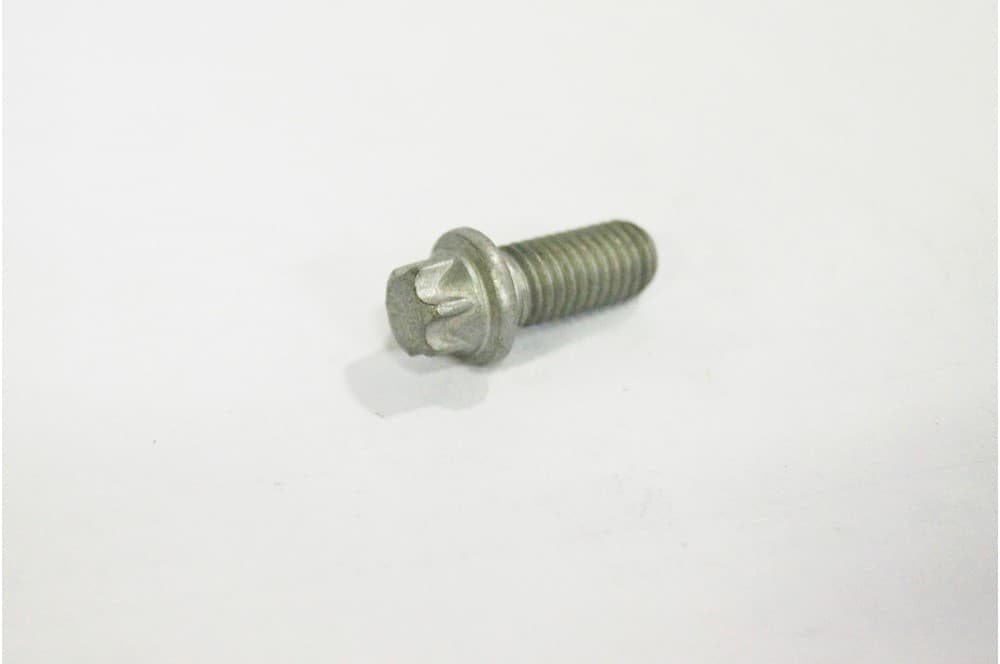 Screw-1