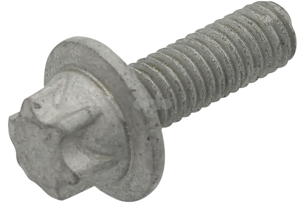 Screw-1