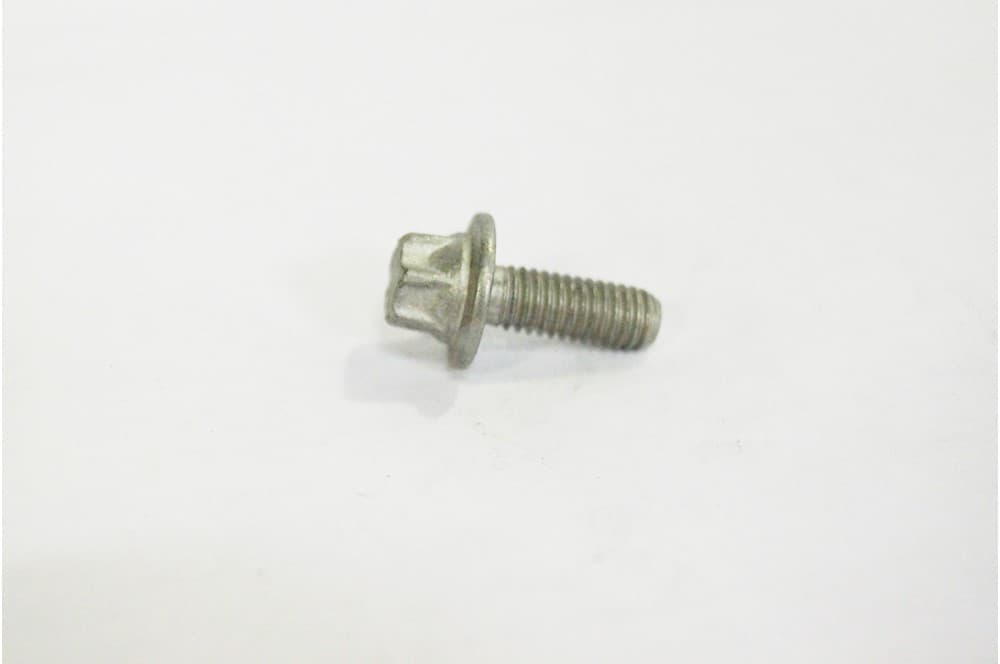 Screw-1