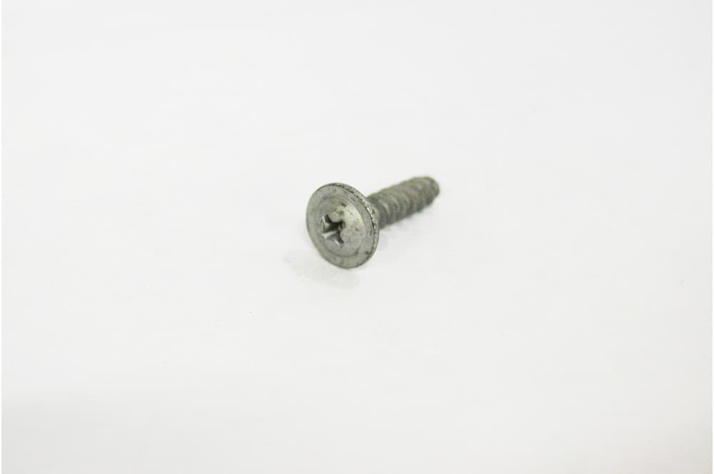 Screw-1