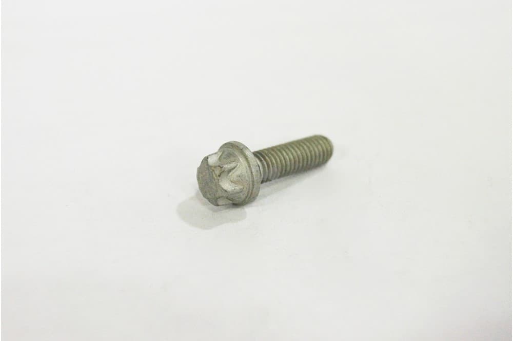 Screw-1