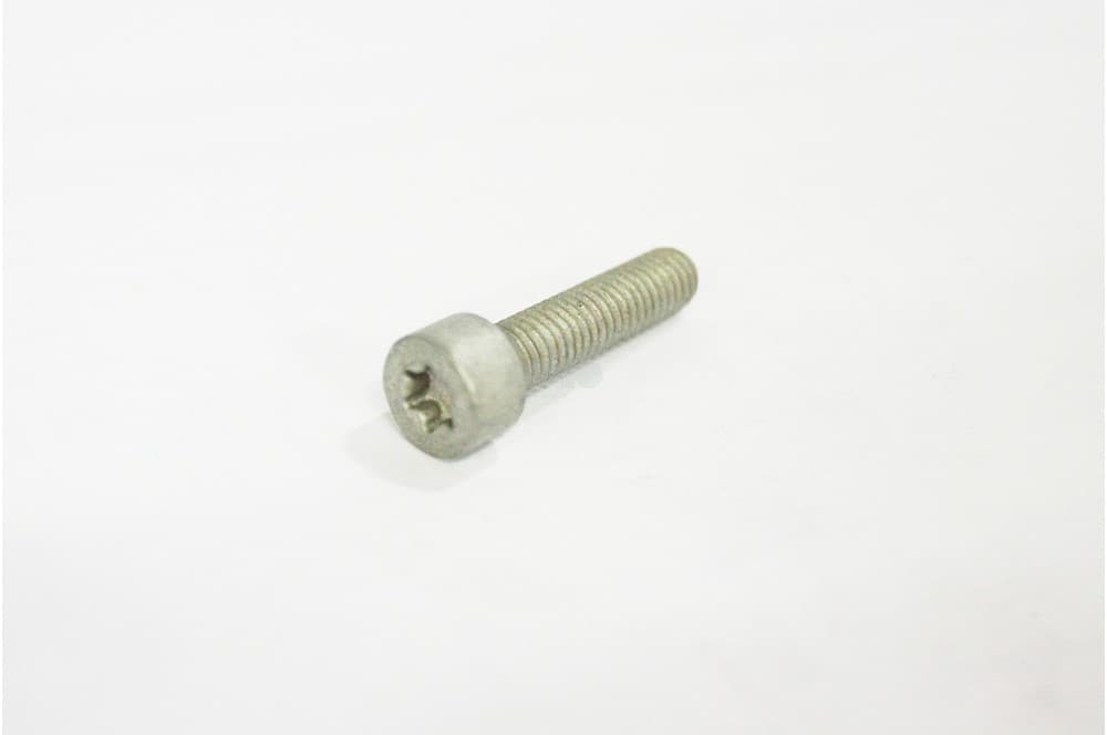 Screw-1
