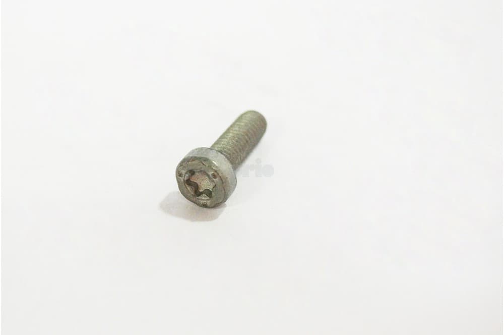 Screw-1