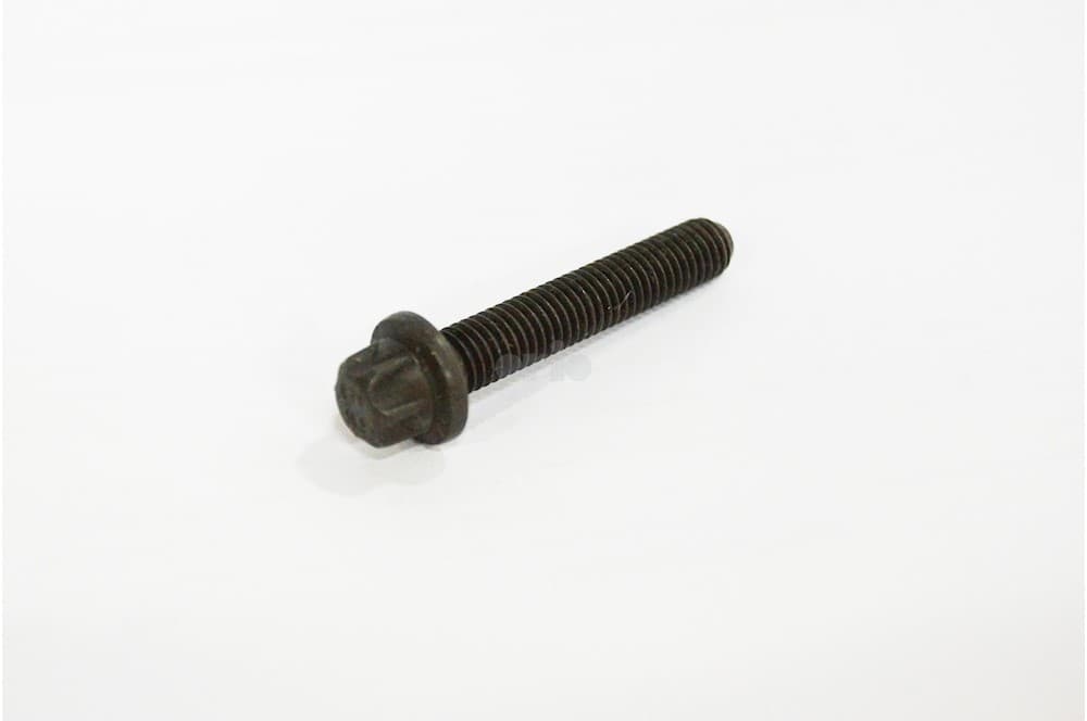 Screw-1