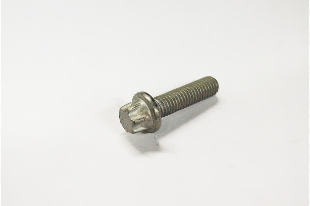 Screw-1
