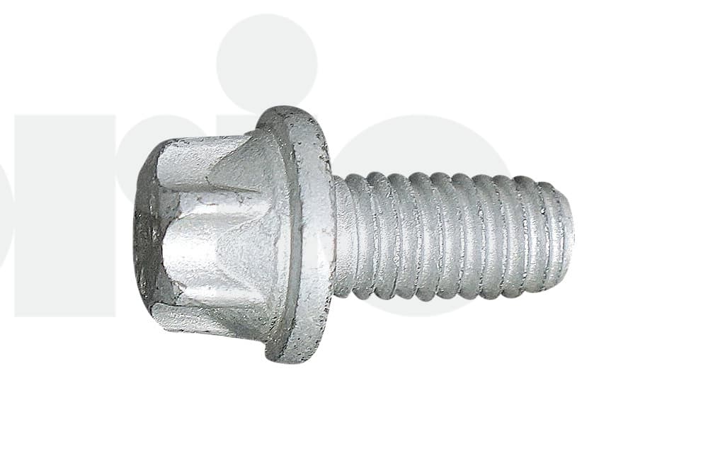 Screw-1