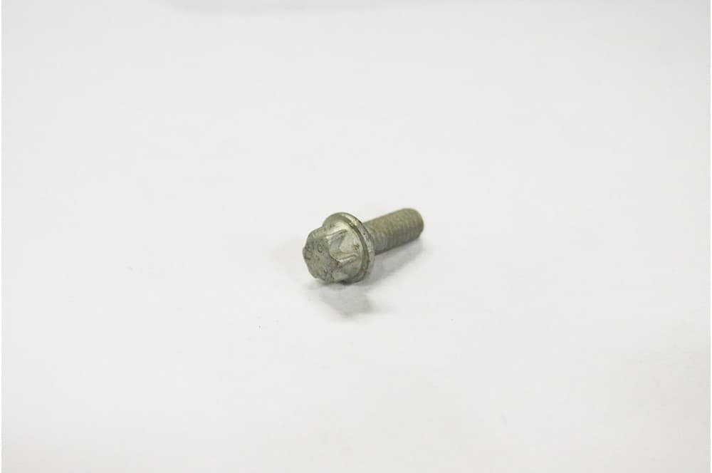 Screw-1