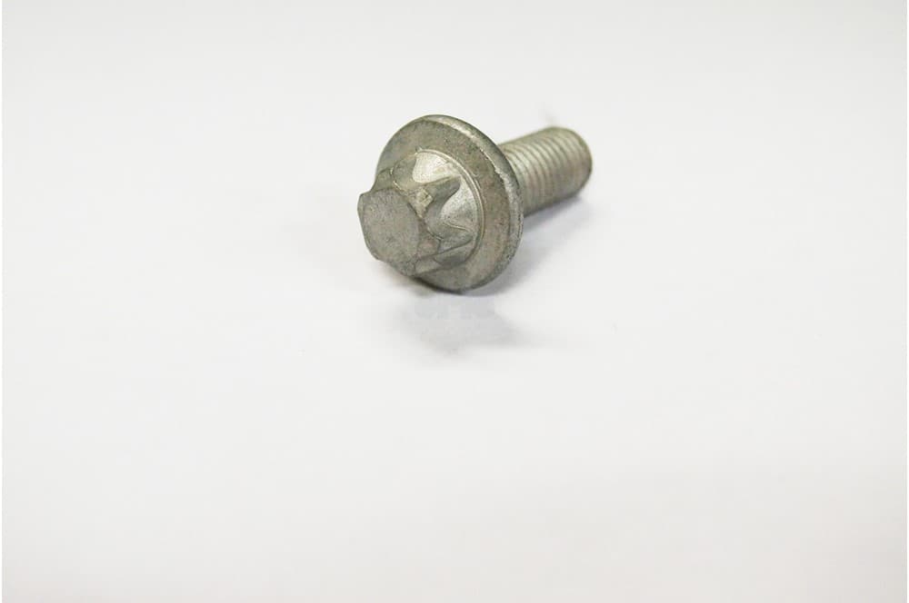 Screw-1