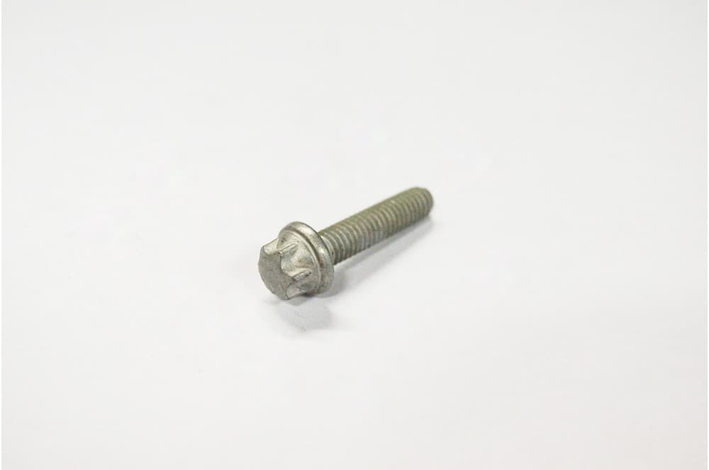 Screw-1