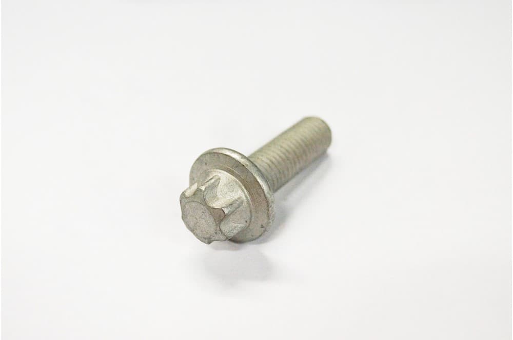Screw-1