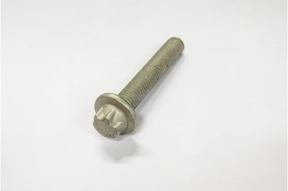 Screw-1