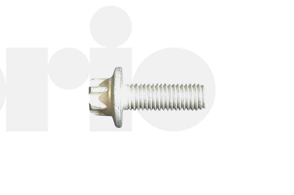 Screw-1