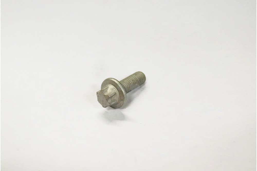 Screw-1