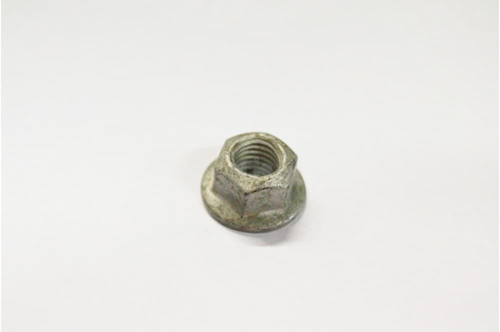 Nut-1