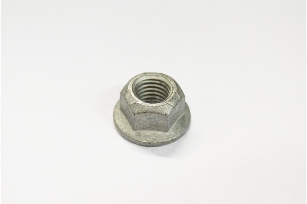 Nut-1