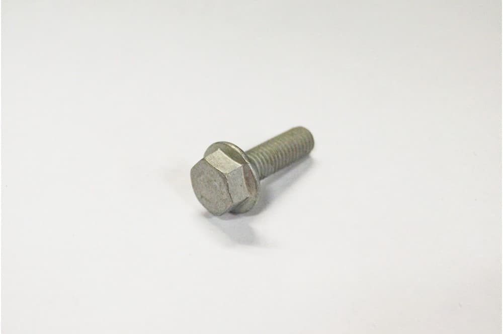 Screw-1