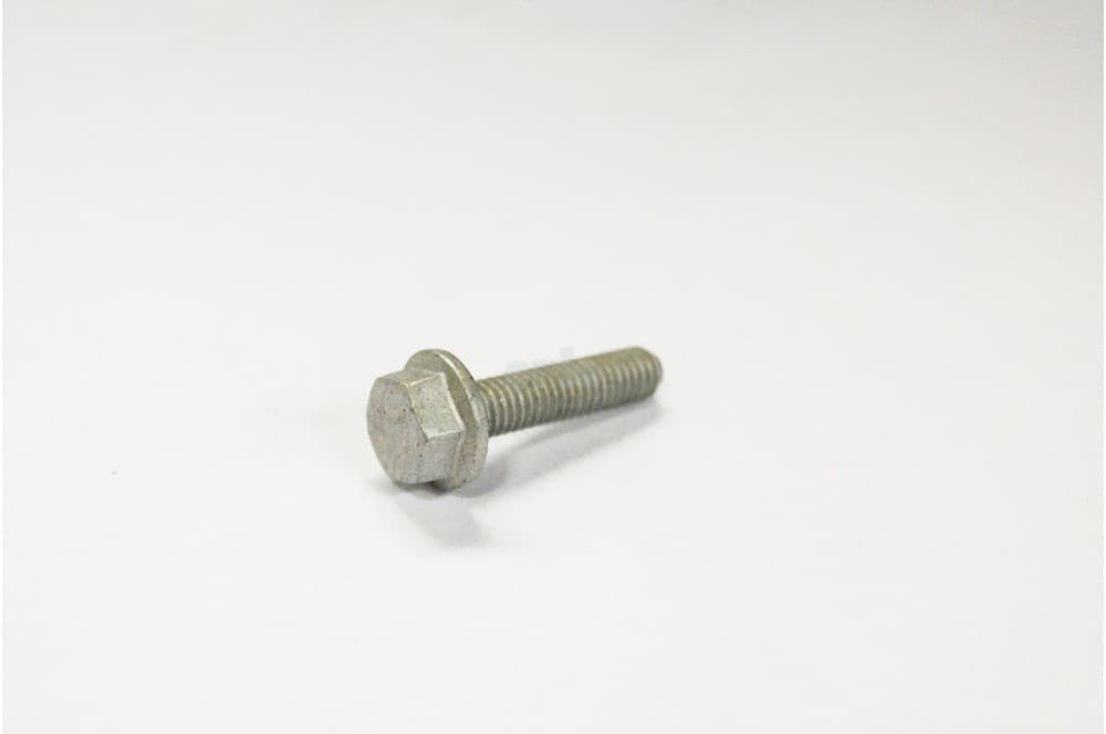 Screw-1