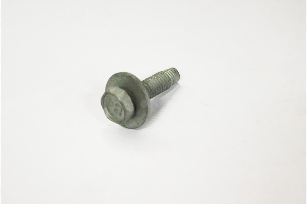 Screw-1