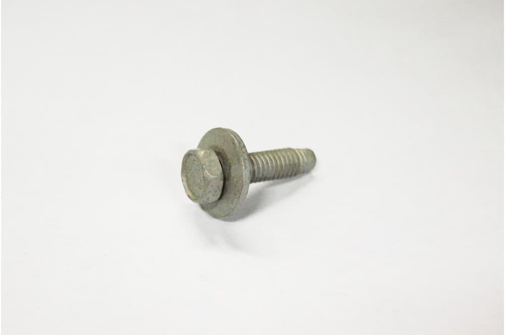 Screw-1