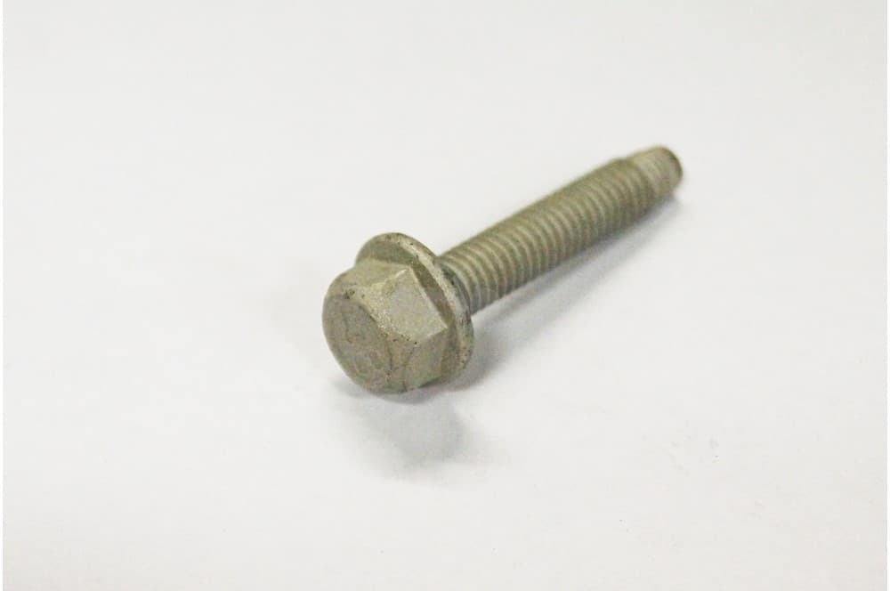 Screw-1