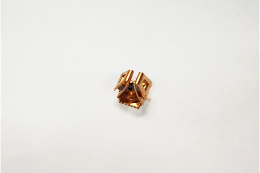 Nut-1