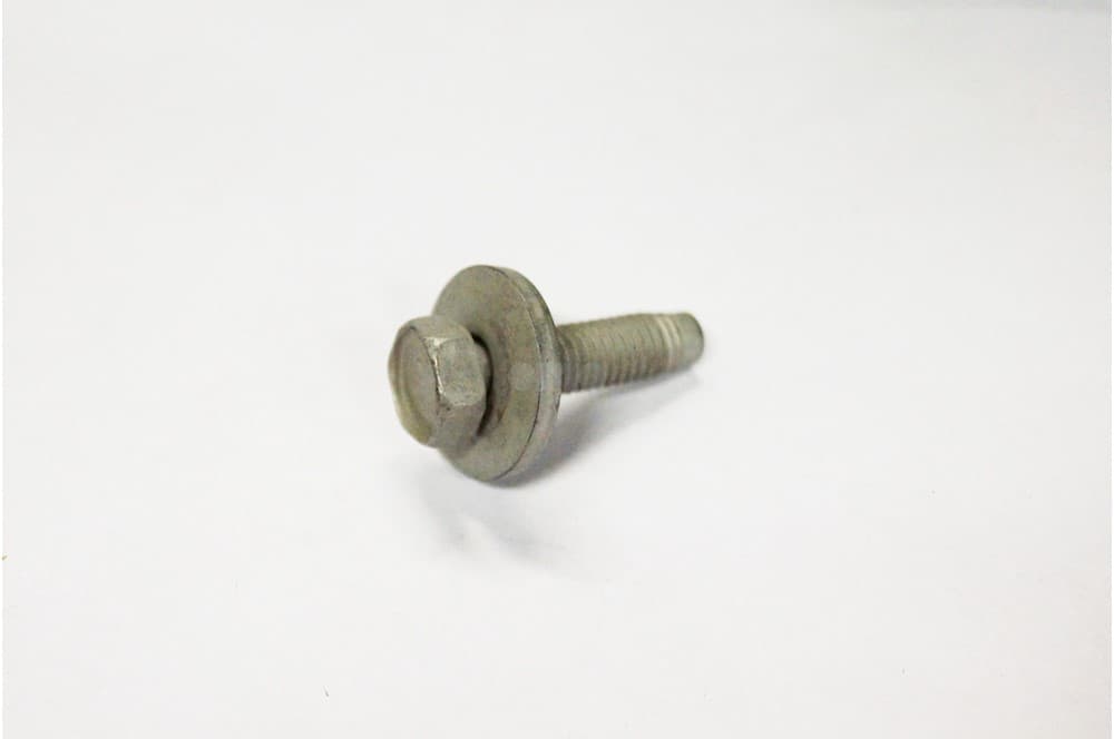 Screw-1