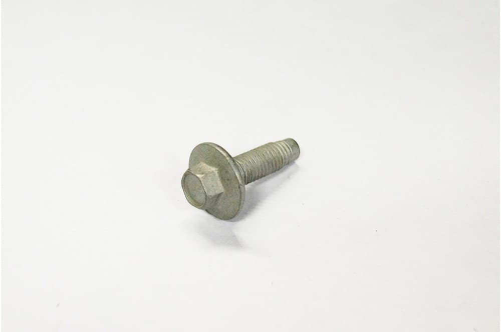 Screw-1