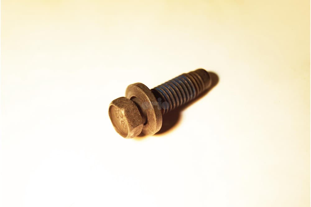 Screw-1
