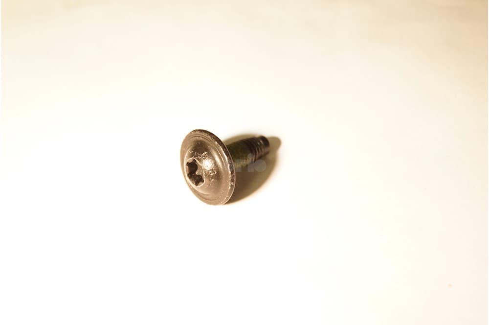 Screw-1