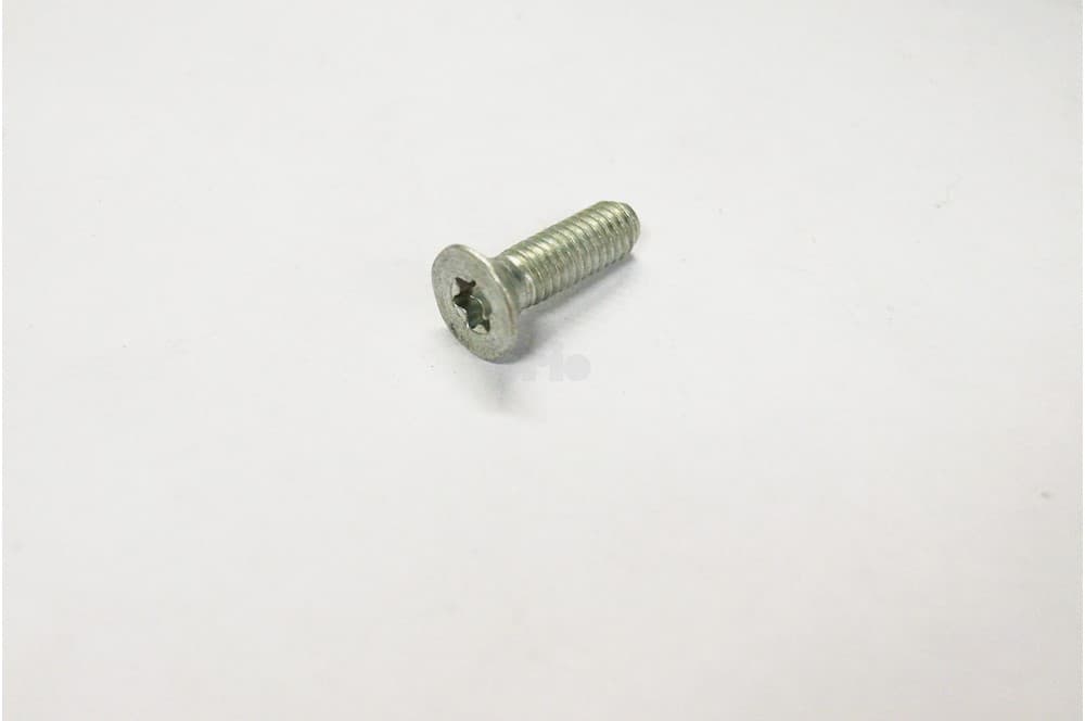 Screw-1