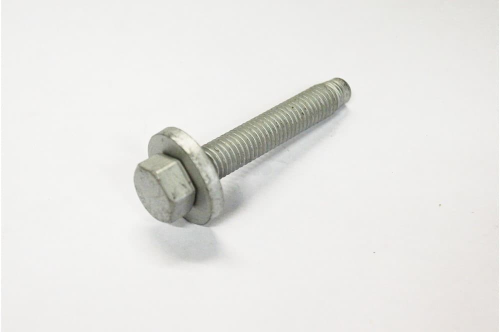 Screw-1