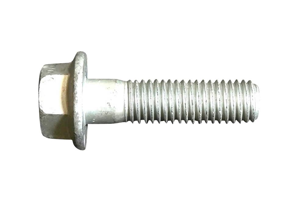 Screw-1