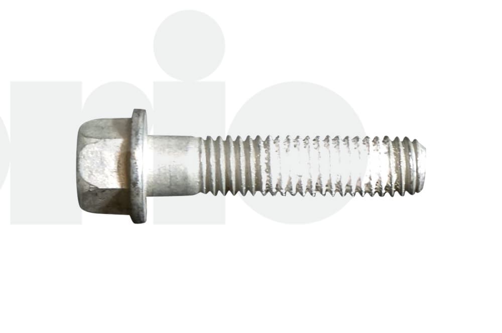 Screw-1