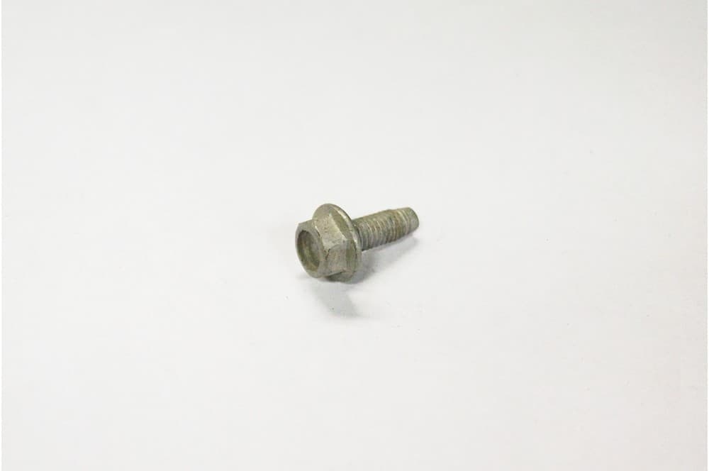 Screw-1