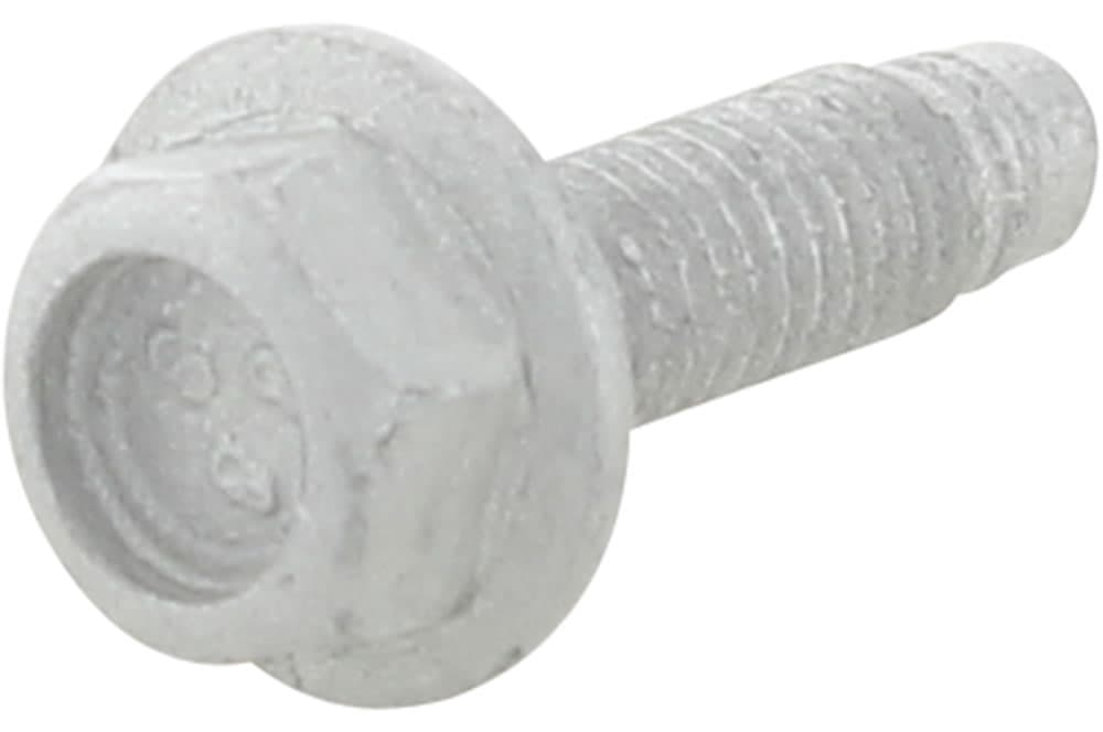 Screw-1