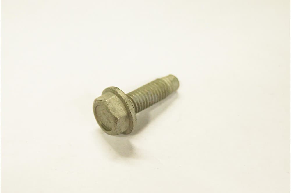 Screw-1