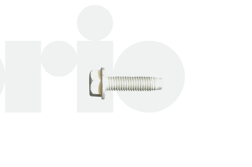 Screw-1