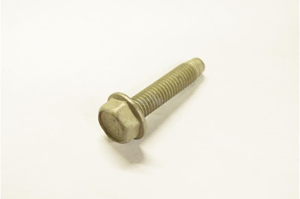 Screw-1