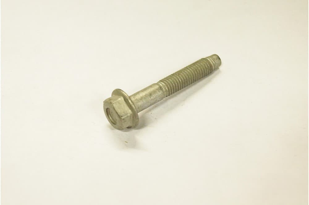 Screw-1