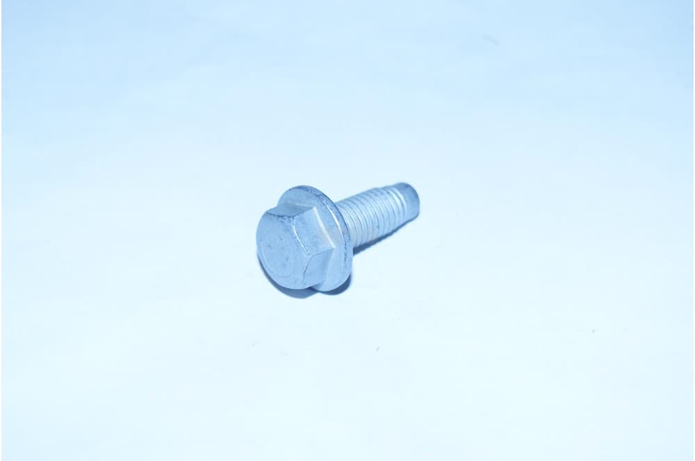 Screw-1