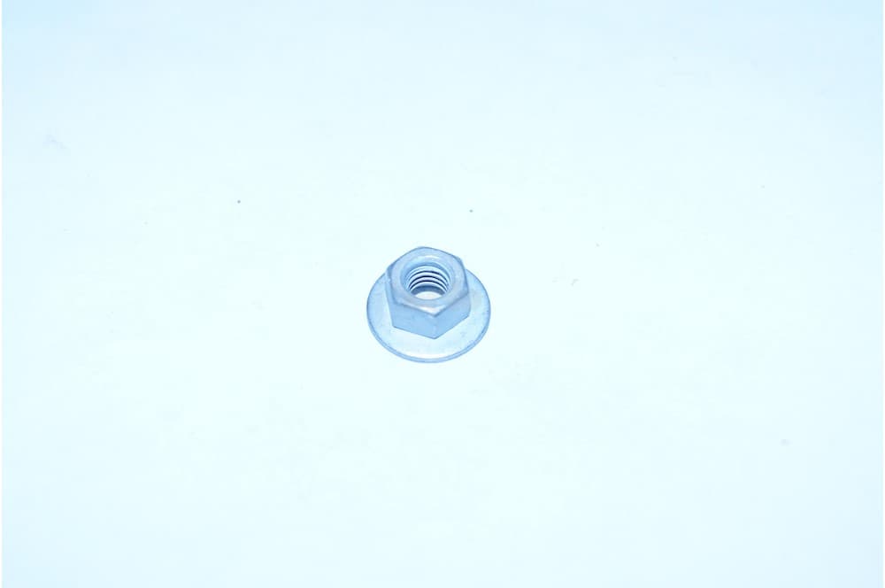 Nut-1