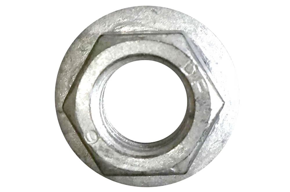 Nut-1