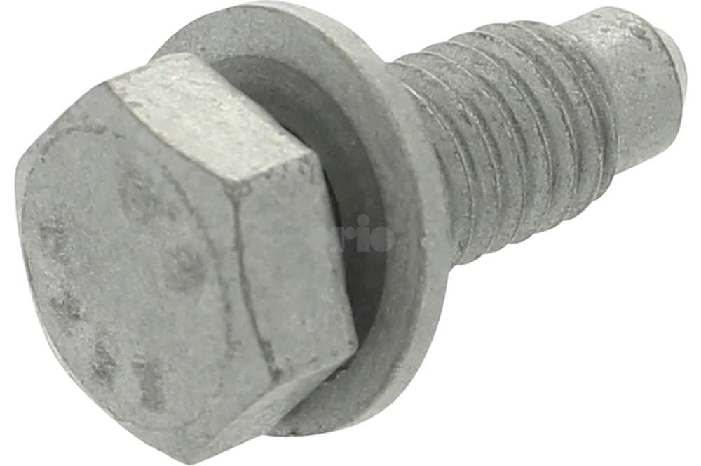 Screw-1