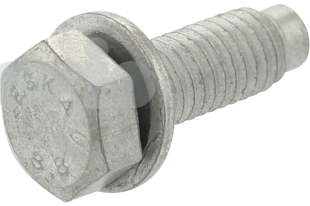 Screw-1